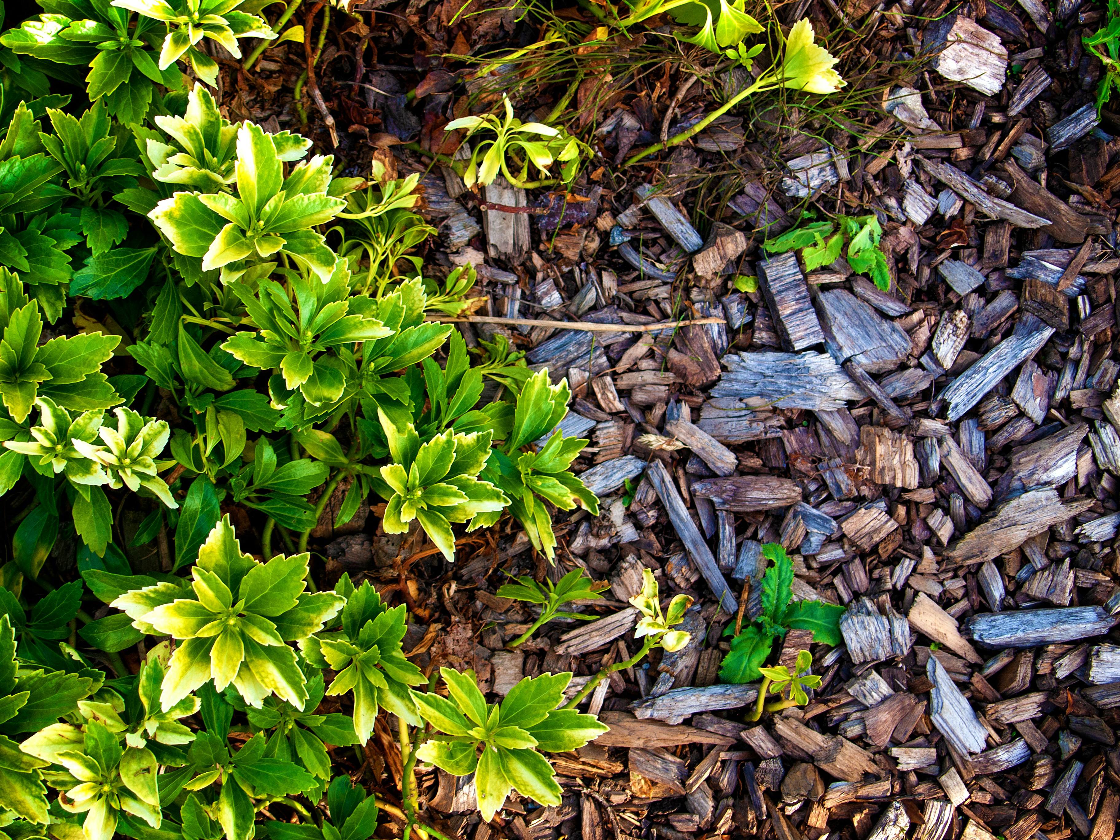 The Stonescape yard in Motueka